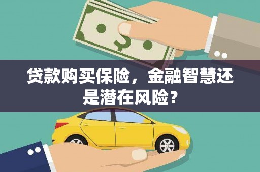 达茂旗贷款购买保险，金融智慧还是潜在风险？
