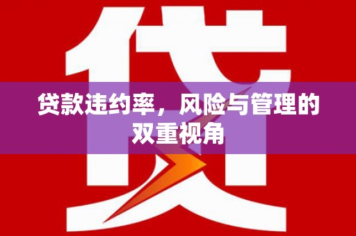 达茂旗贷款违约率，风险与管理的双重视角