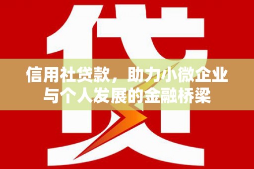 达茂旗信用社贷款，助力小微企业与个人发展的金融桥梁