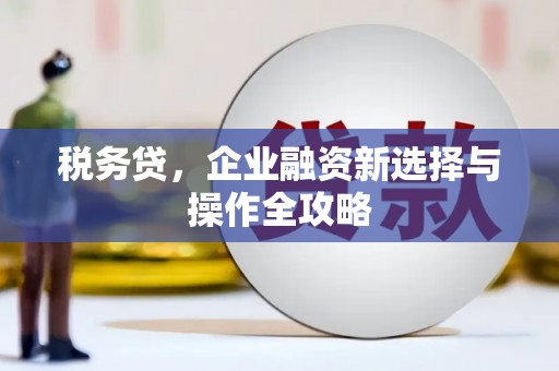 达茂旗税务贷，企业融资新选择与操作全攻略
