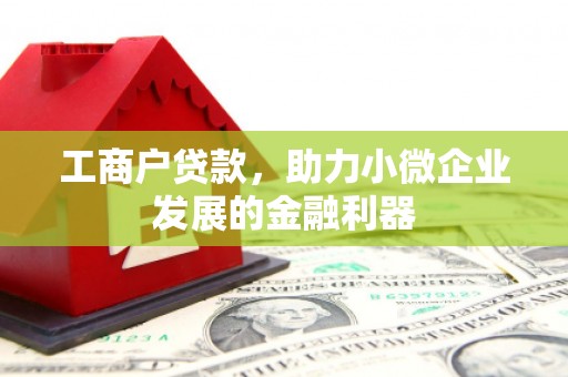 达茂旗工商户贷款，助力小微企业发展的金融利器