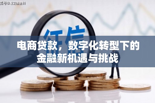 达茂旗电商贷款，数字化转型下的金融新机遇与挑战