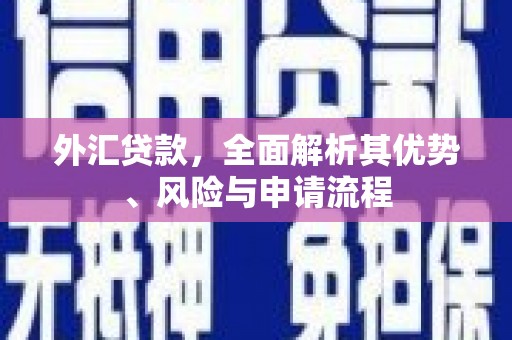 达茂旗外汇贷款，全面解析其优势、风险与申请流程