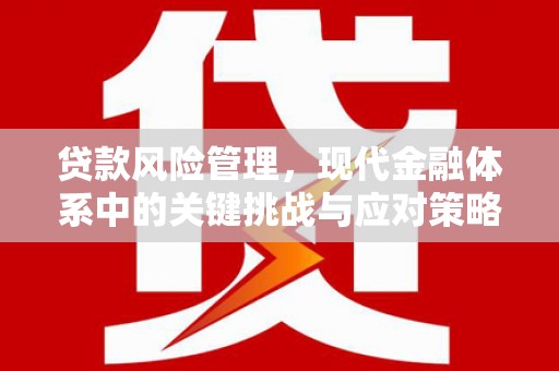 达茂旗贷款风险管理，现代金融体系中的关键挑战与应对策略