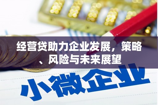 达茂旗经营贷助力企业发展，策略、风险与未来展望