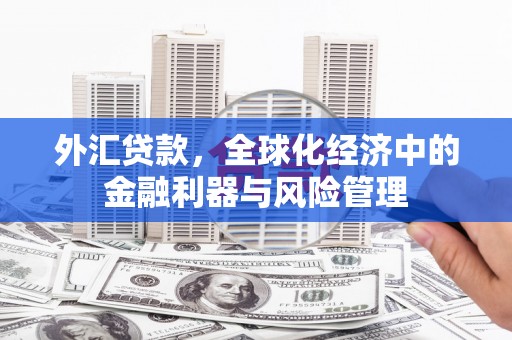 达茂旗外汇贷款，全球化经济中的金融利器与风险管理
