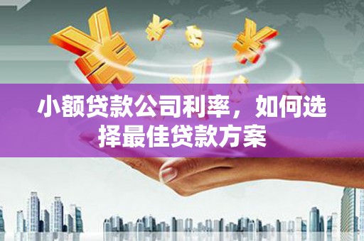 达茂旗小额贷款公司利率，如何选择最佳贷款方案