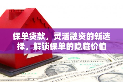 达茂旗保单贷款，灵活融资的新选择，解锁保单的隐藏价值