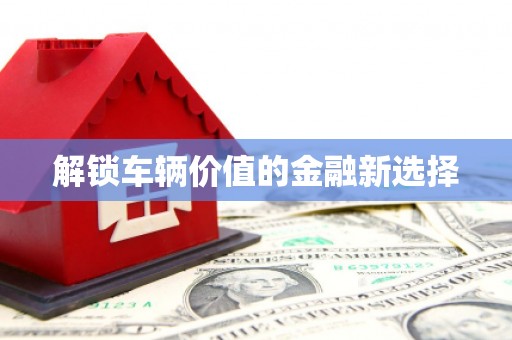 达茂旗解锁车辆价值的金融新选择