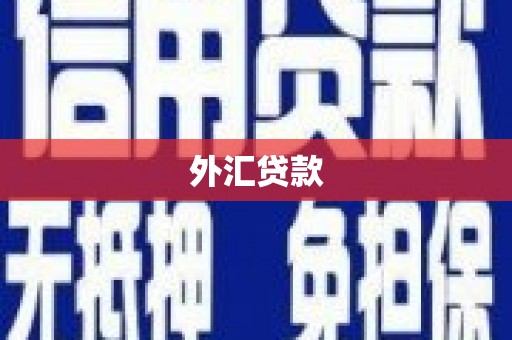 达茂旗外汇贷款