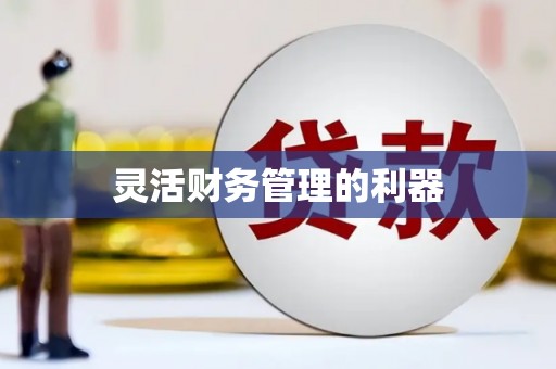 达茂旗灵活财务管理的利器