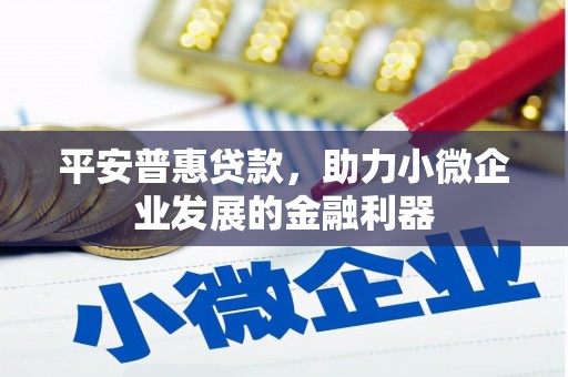 达茂旗平安普惠贷款，助力小微企业发展的金融利器
