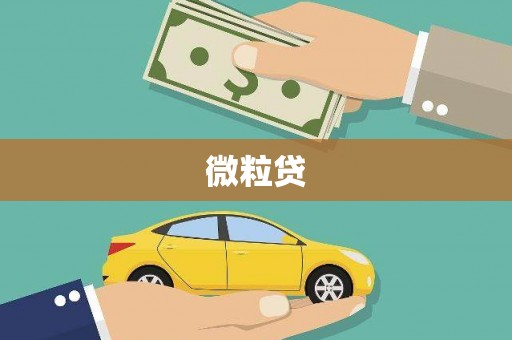 达茂旗微粒贷