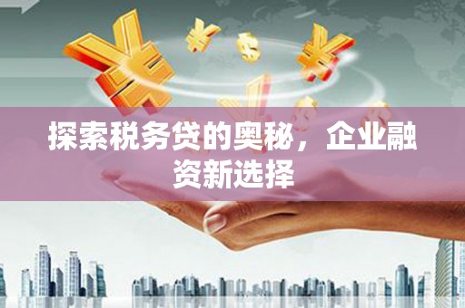 达茂旗探索税务贷的奥秘，企业融资新选择