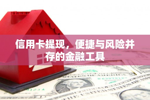 达茂旗信用卡提现，便捷与风险并存的金融工具