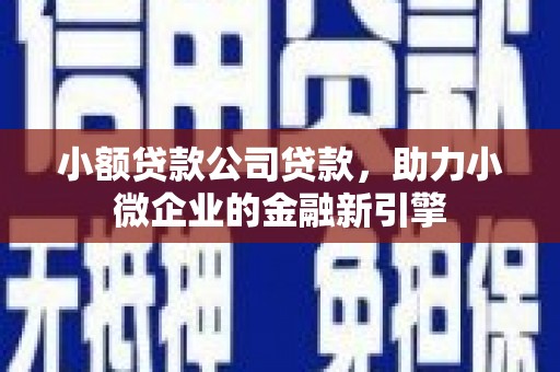 达茂旗小额贷款公司贷款，助力小微企业的金融新引擎