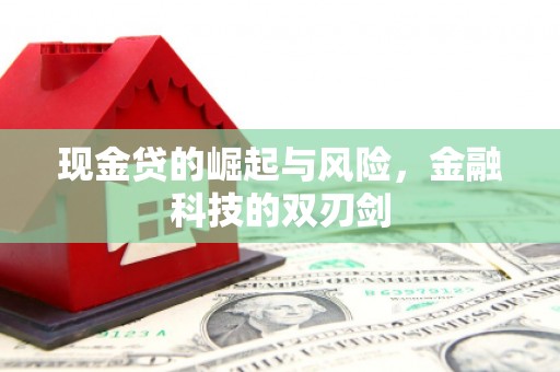 达茂旗现金贷的崛起与风险，金融科技的双刃剑