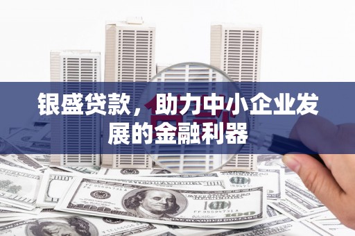 达茂旗银盛贷款，助力中小企业发展的金融利器