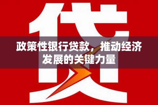 达茂旗政策性银行贷款，推动经济发展的关键力量