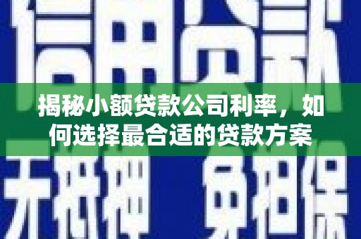 达茂旗揭秘小额贷款公司利率，如何选择最合适的贷款方案