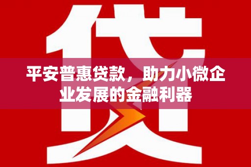 达茂旗平安普惠贷款，助力小微企业发展的金融利器