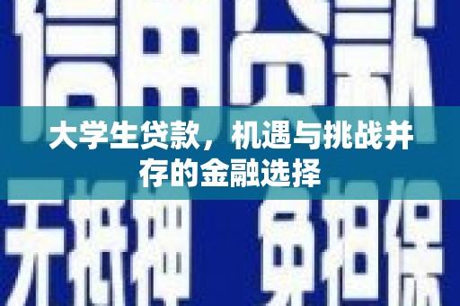 达茂旗大学生贷款，机遇与挑战并存的金融选择