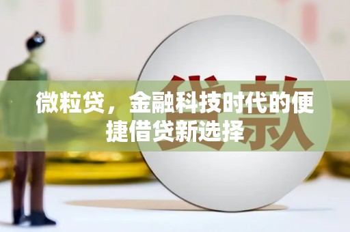达茂旗微粒贷，金融科技时代的便捷借贷新选择