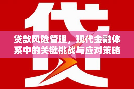 达茂旗贷款风险管理，现代金融体系中的关键挑战与应对策略