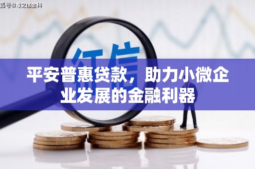 达茂旗平安普惠贷款，助力小微企业发展的金融利器