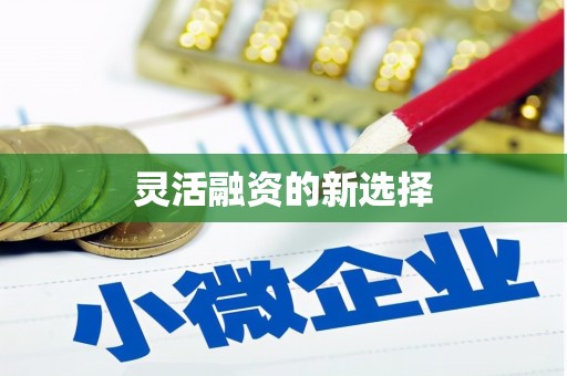 达茂旗灵活融资的新选择