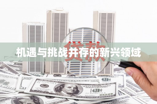达茂旗机遇与挑战并存的新兴领域
