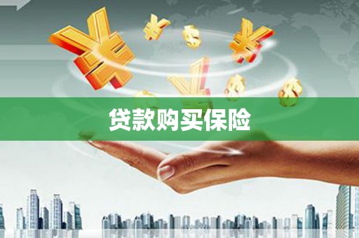 达茂旗贷款购买保险