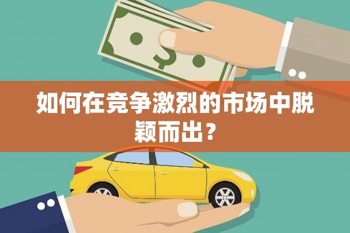 达茂旗如何在竞争激烈的市场中脱颖而出？