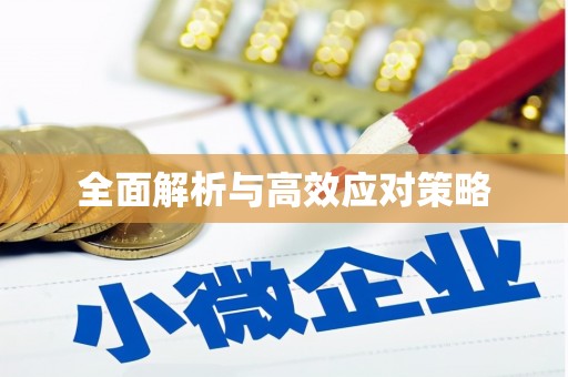 达茂旗全面解析与高效应对策略