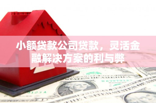 达茂旗小额贷款公司贷款，灵活金融解决方案的利与弊